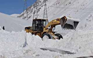 Услуги погрузчика Вывоз и чистка снега Опытный оператор