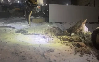 Сдам в аренду